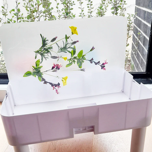 Table Insert - Solid